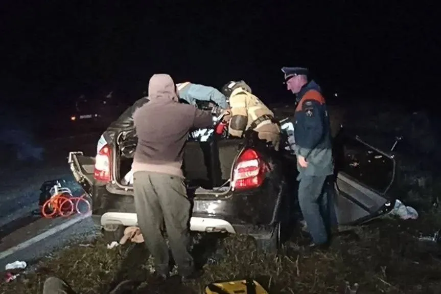 Выбежавший на дорогу лось унёс жизни четверых человек под Омском