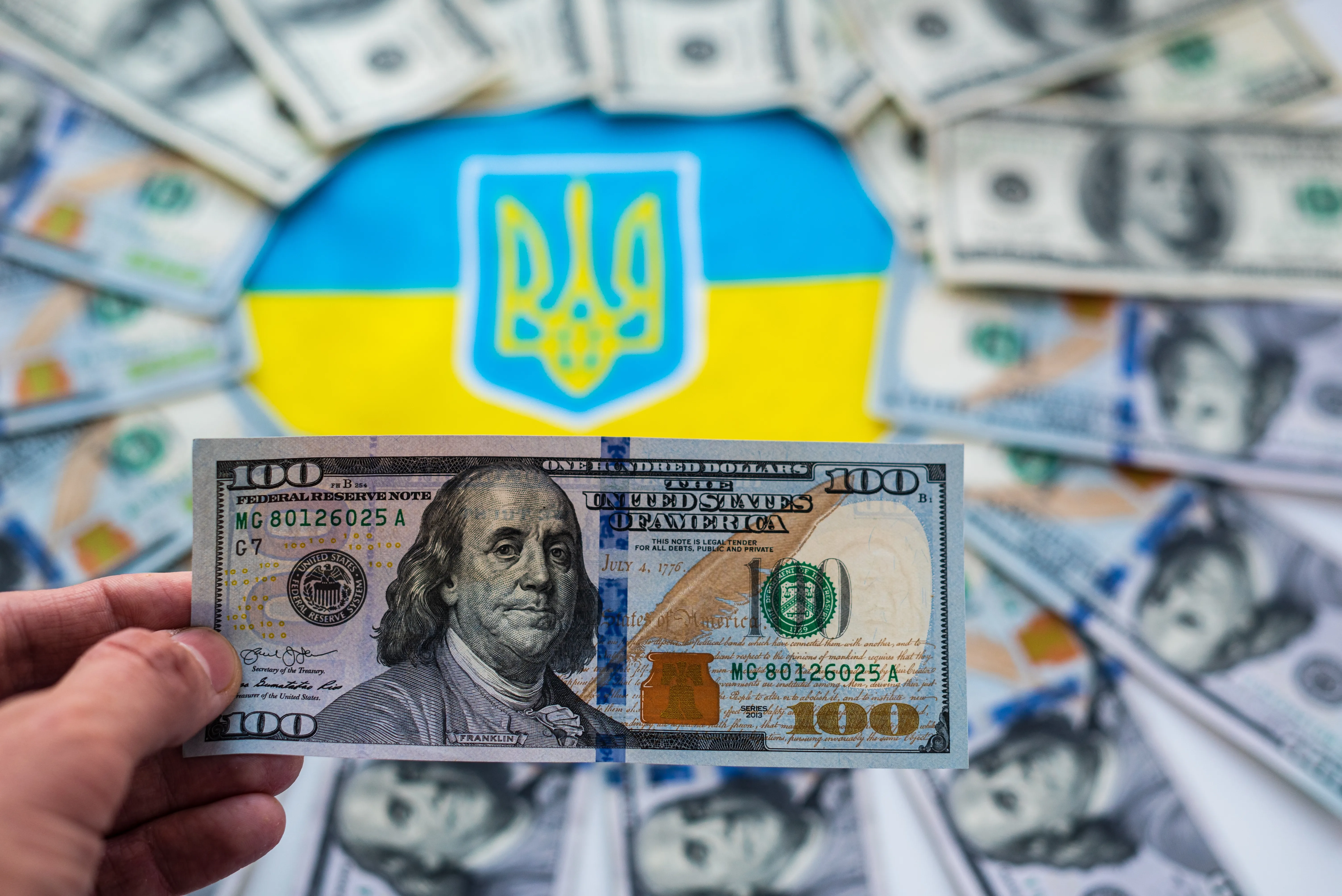 Бюджет Украины потерял семь миллионов долларов при закупке колючей проволоки