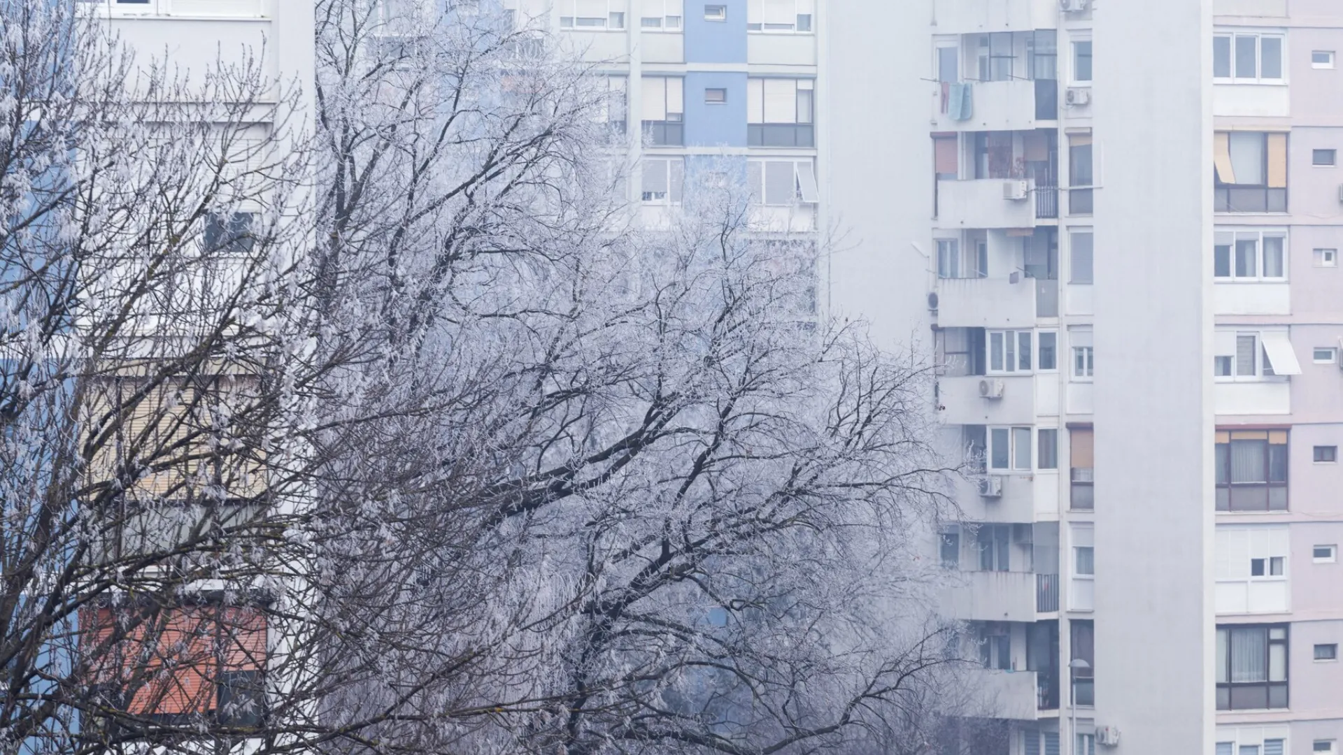 Переломный момент: Москвичей предупредили о приходе зимы