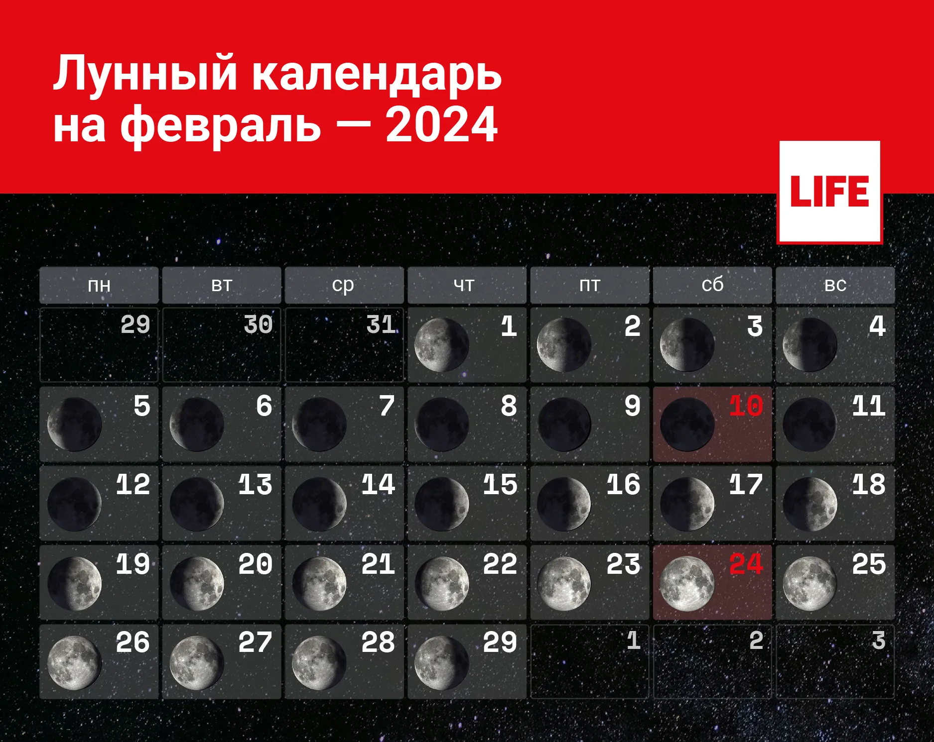 Лунный календарь стрижек на февраль 2024