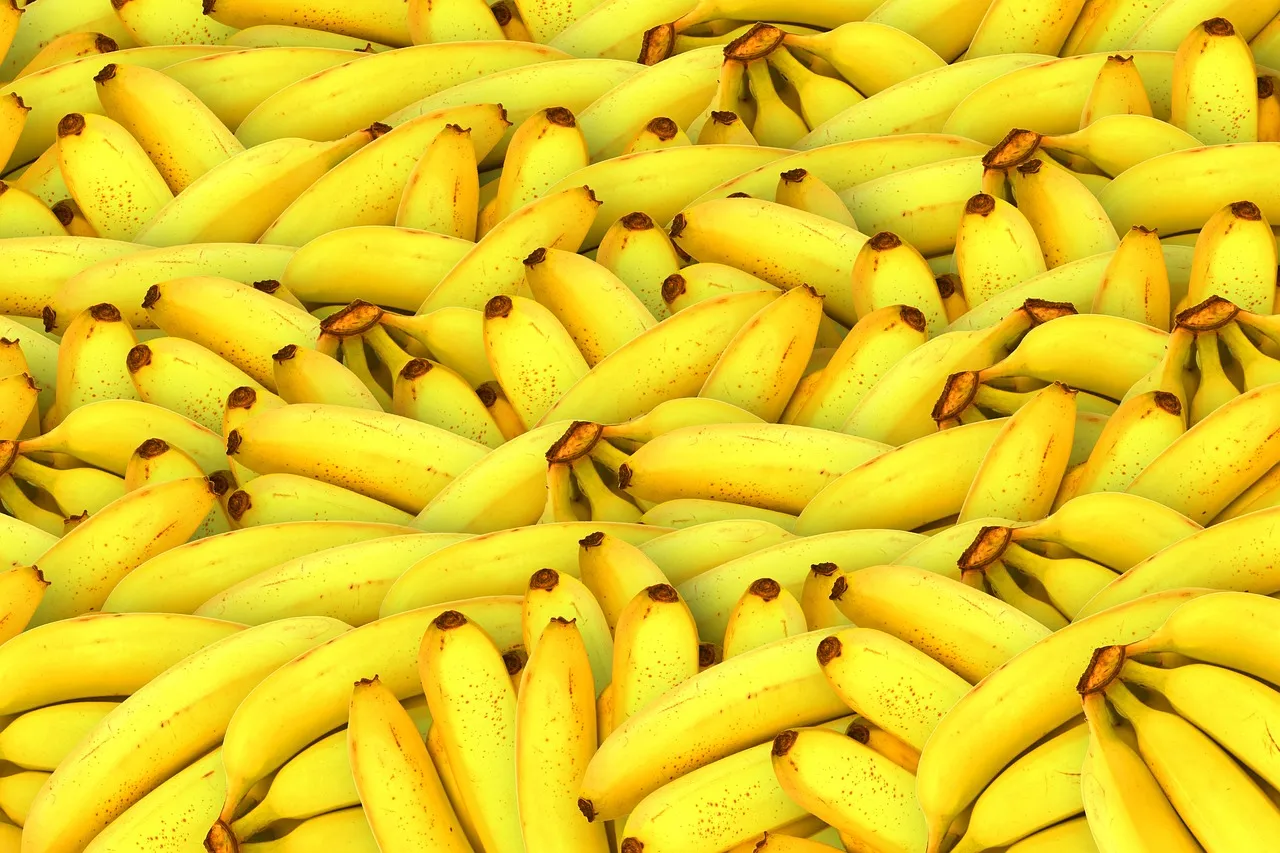 Проблемы с экспортом бананов заставили Эквадор отправить в Москву делегацию