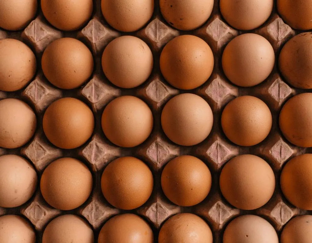 Эксперты объяснили, кто виноват в росте цен на яйца