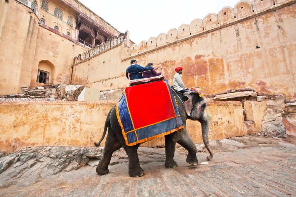 Взбешённый слон раскрутил хоботом и едва не растоптал россиянку в Индии