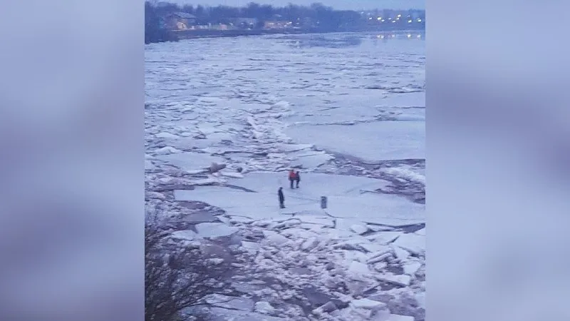 Трое детей с собакой откололись на льдине в Новгородской области