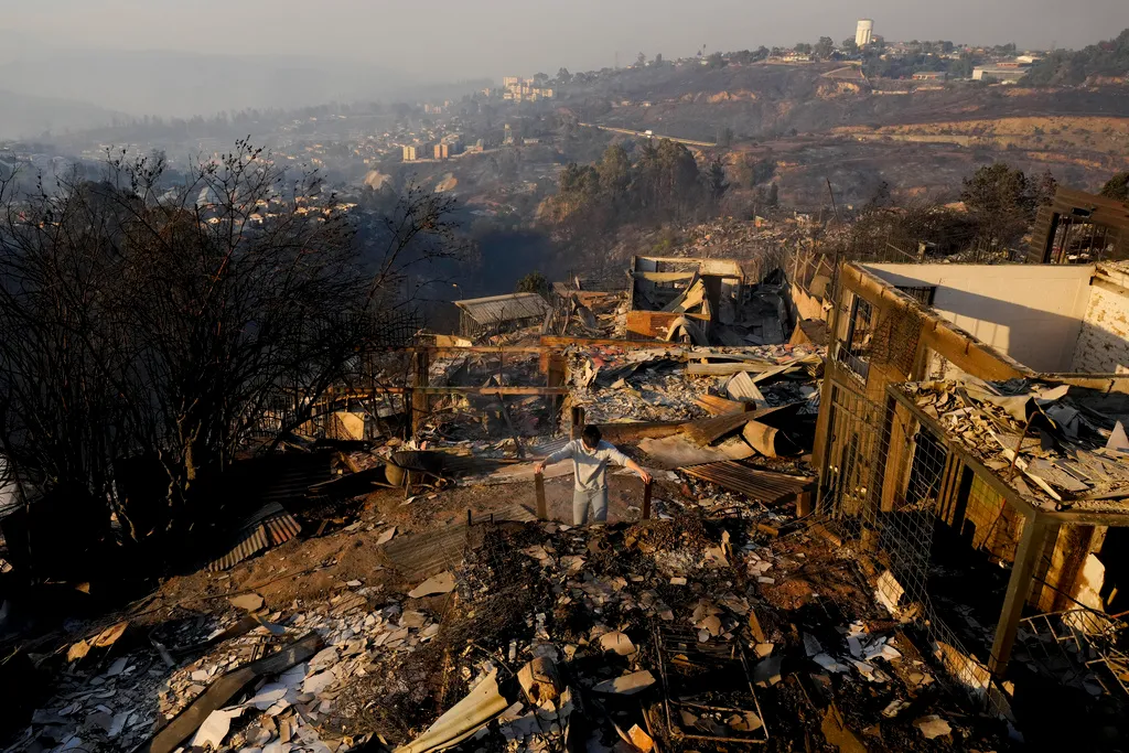 Число жертв лесных пожаров в Чили возросло до 99 человек