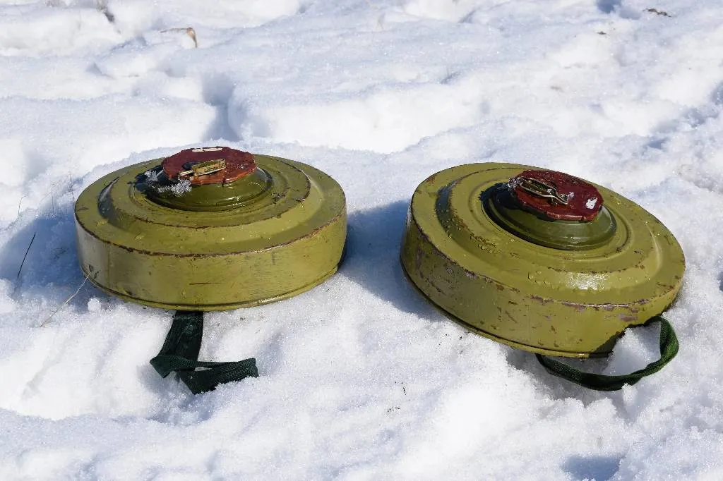 На Кубани кладоискатель погиб в результате взрыва мины времён ВОВ