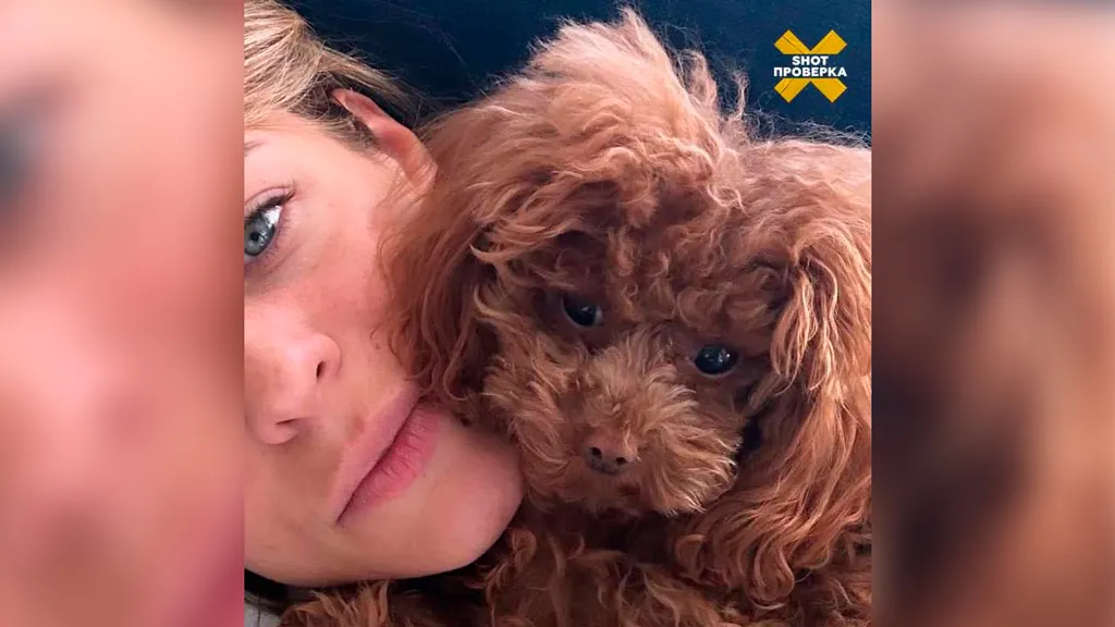 Жена режиссёра Жоры Крыжовникова обвинила ветеринаров в смерти своей собаки