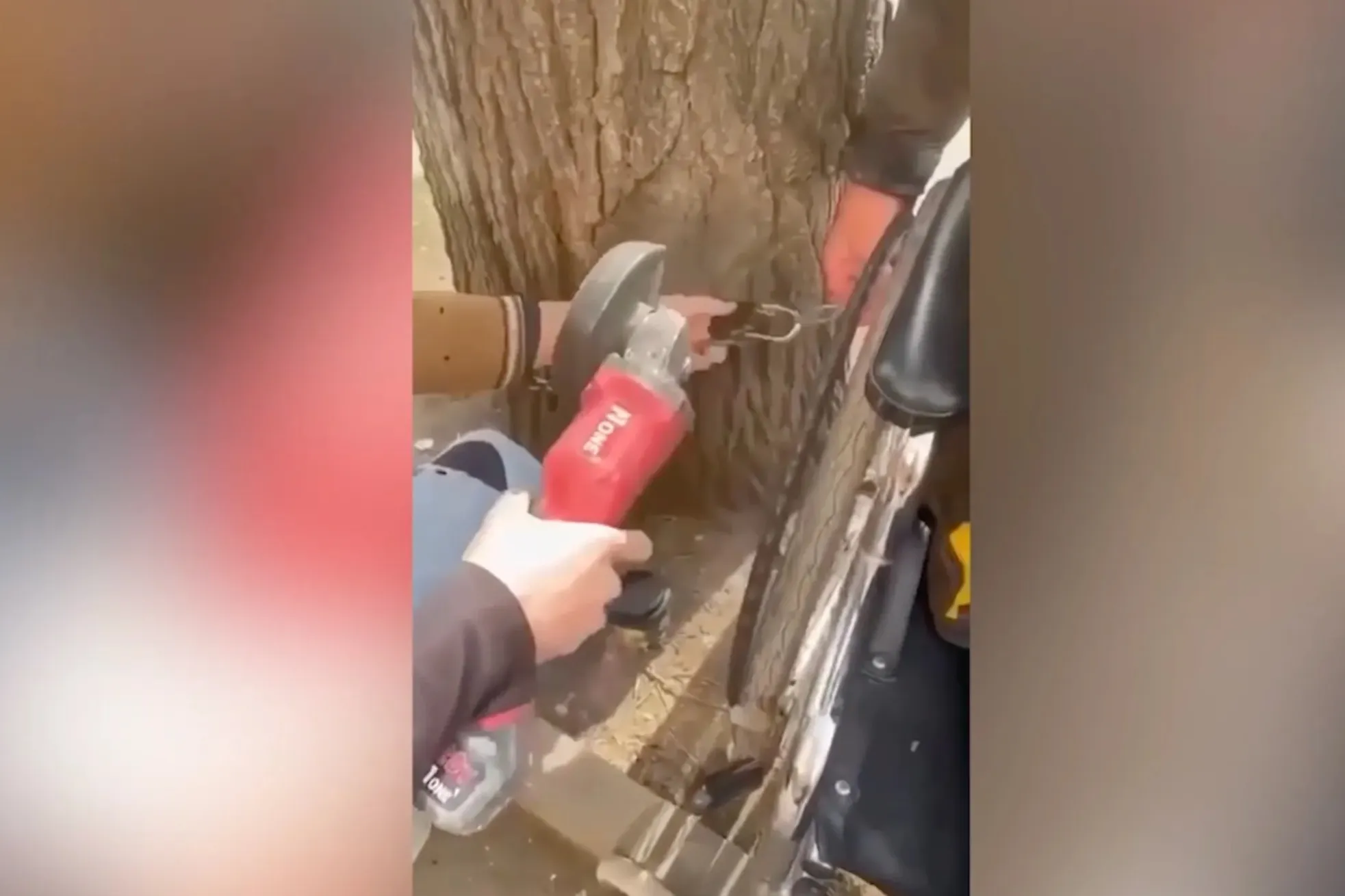 В Кисловодске неизвестные приковали инвалида-колясочника цепью к дереву