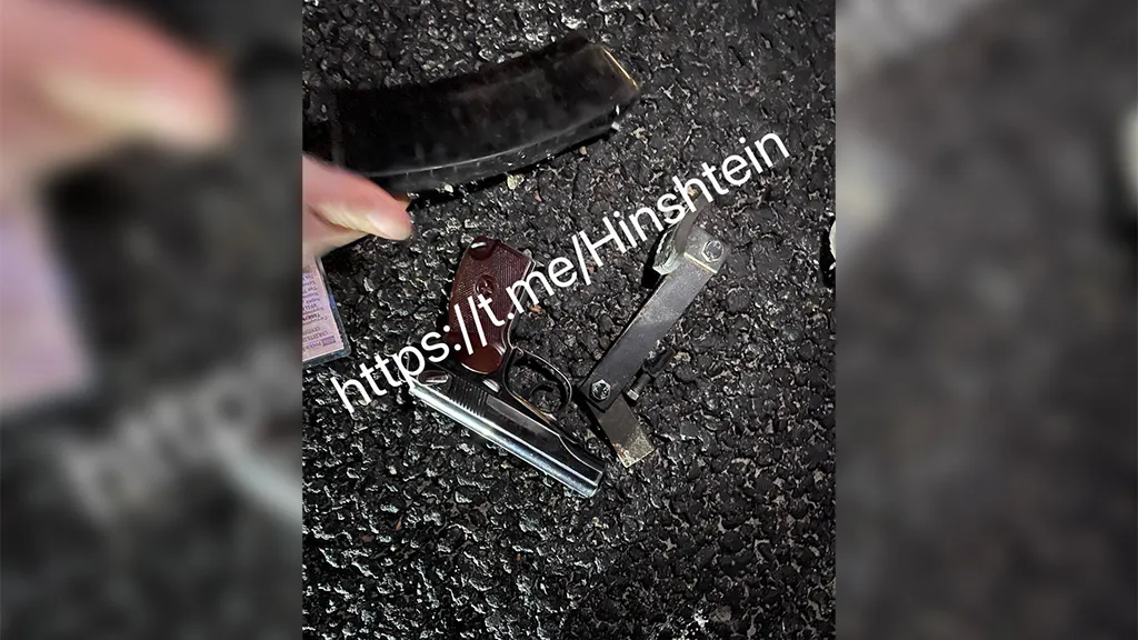 Хинштейн показал оружие, найденное у предполагаемых террористов из "Крокуса"