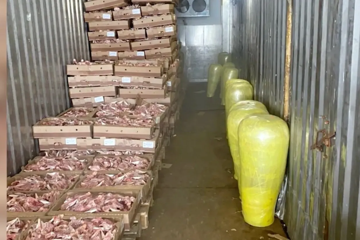 Семь десятков тонн просроченного мяса для шаурмы изъяли в Воронеже