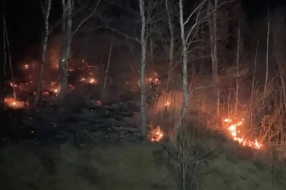 Усилена группировка спасателей, борющихся с природными пожарами на юге Приморья