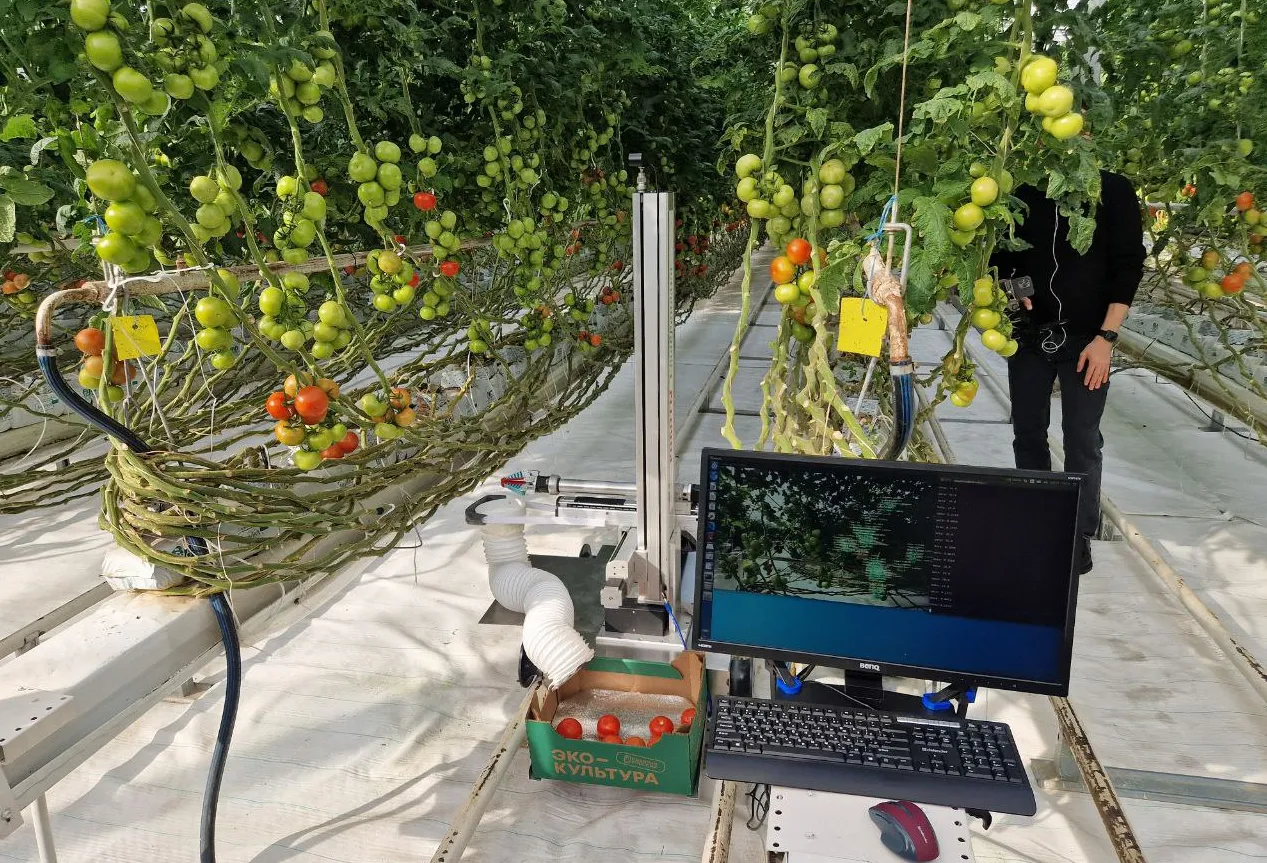 Путину на Ставрополье показали робота, который с помощью ИИ собирает помидоры