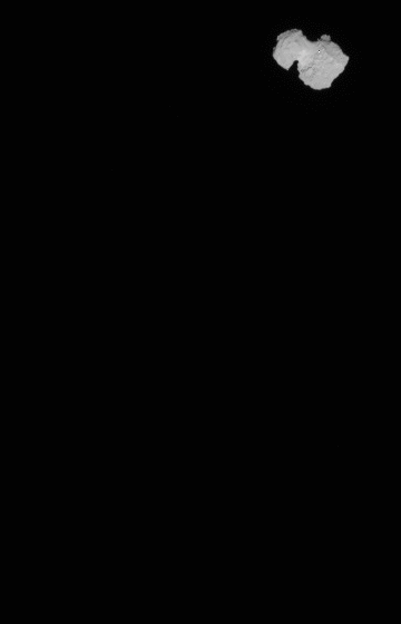 Комета Чурюмова – Герасименко. Фото © Wikipedia / CC BY-SA IGO 3.0 