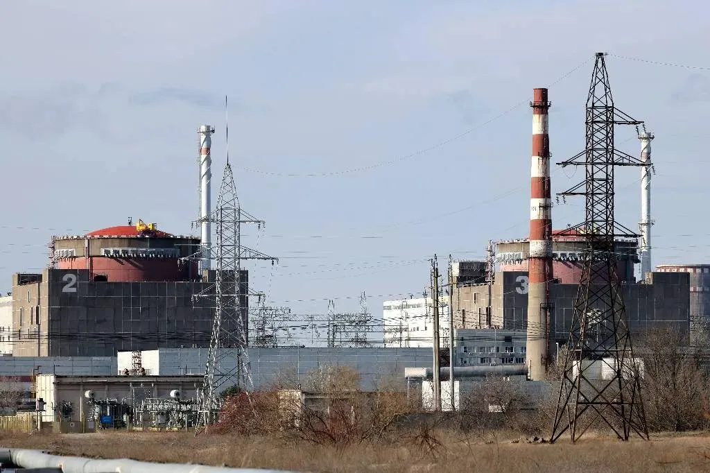 Рогов: МАГАТЭ пытается обелить ВСУ, устраивающие обстрелы Запорожской АЭС