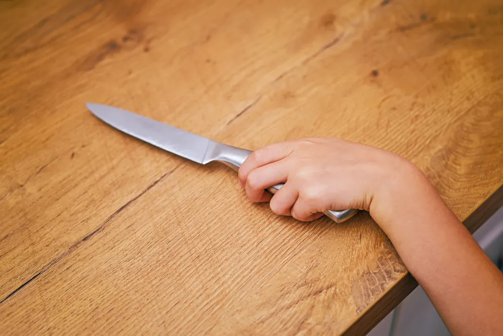 Проглядели: Названы возможные причины нападения школьника с ножом на мать в Подмосковье