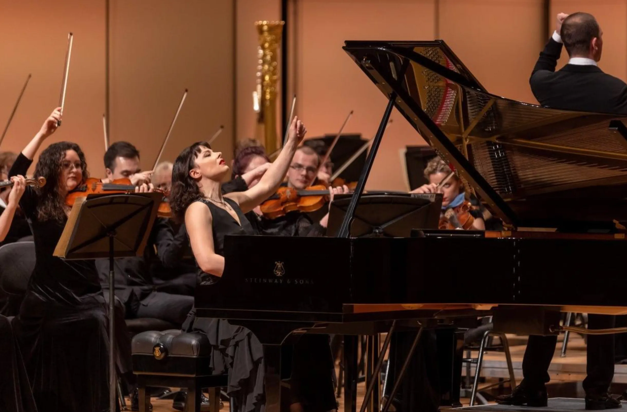 Гастрольный тур Луганского симфонического оркестра завершился в Москве 
