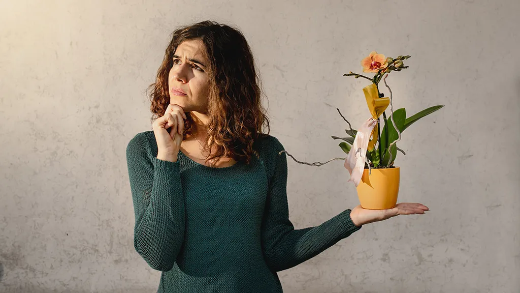 5 причин, почему подаренный цветок в горшке убьёт энергетику вашего дома