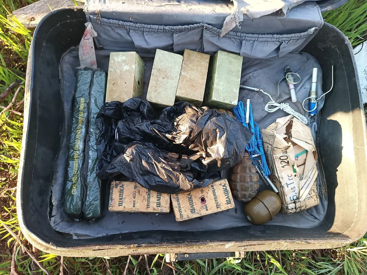 В Запорожской области в чемодане нашли 2,4 килограмма тротила и гранаты