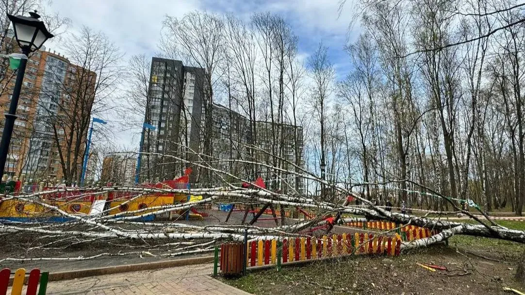 "Лежала в крови и плакала": Очевидица рассказала о состоянии двухлетней малышки, на которую упала берёза