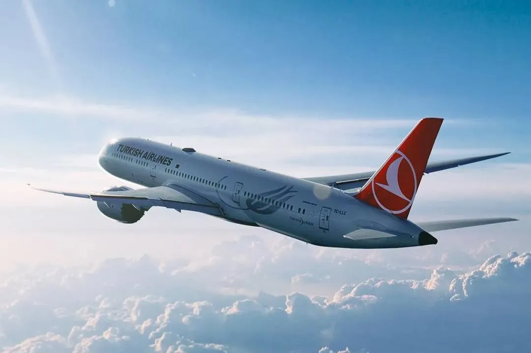 Посольство РФ призвало россиян оценить необходимость полётов с Turkish Airlines
