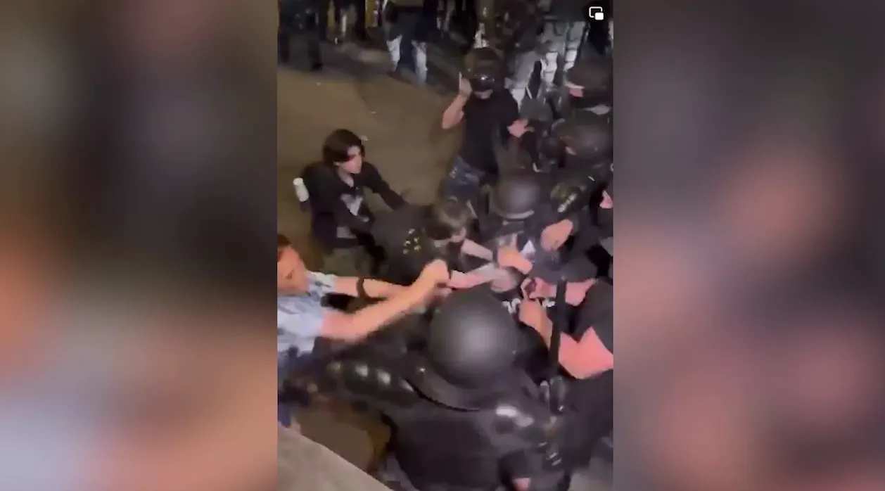 Спецназ в Тбилиси разогнал протестующих у парламента перцовым спреем