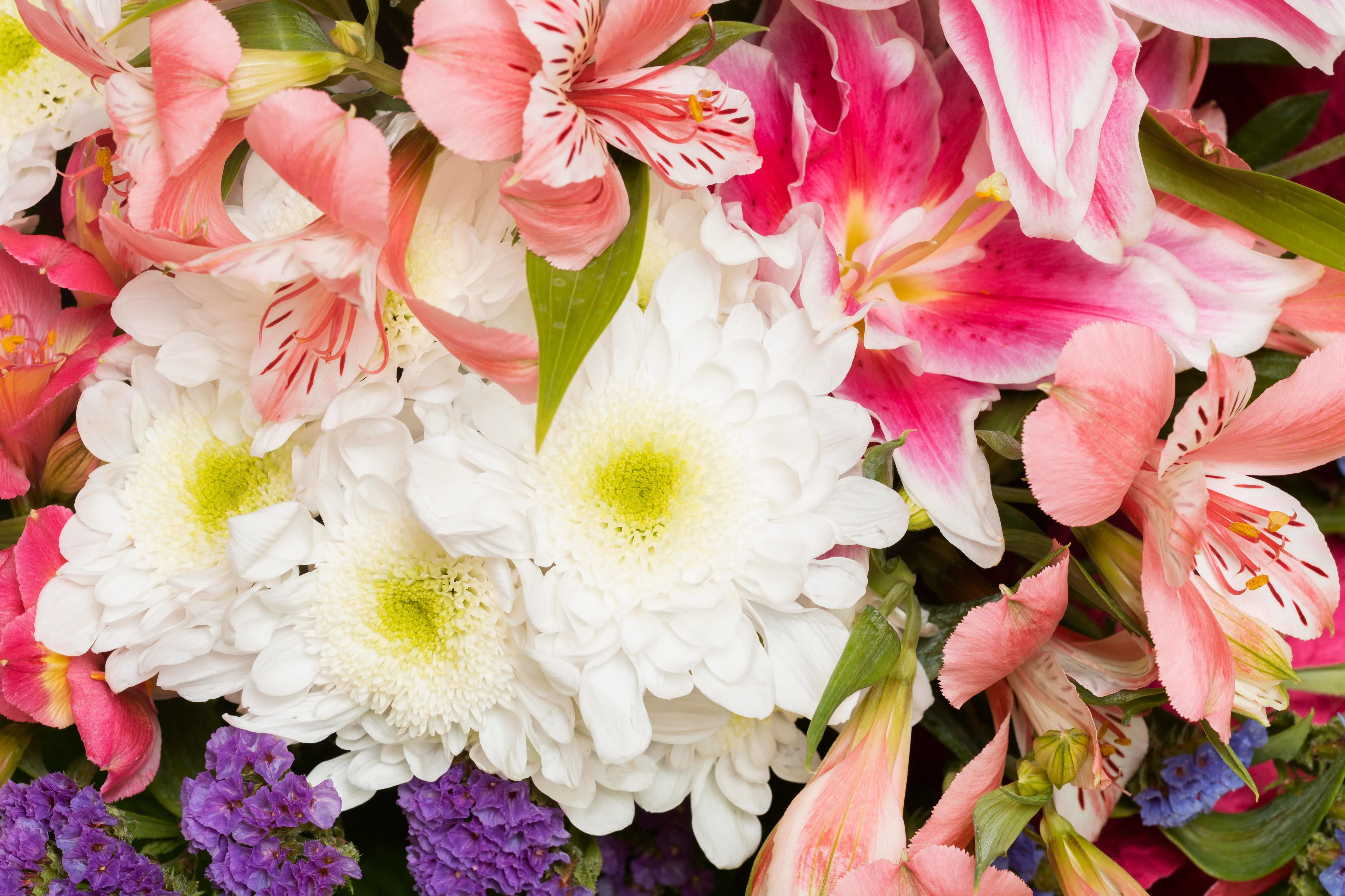 Названы цветы, от которых аллергикам лучше держать носы подальше 