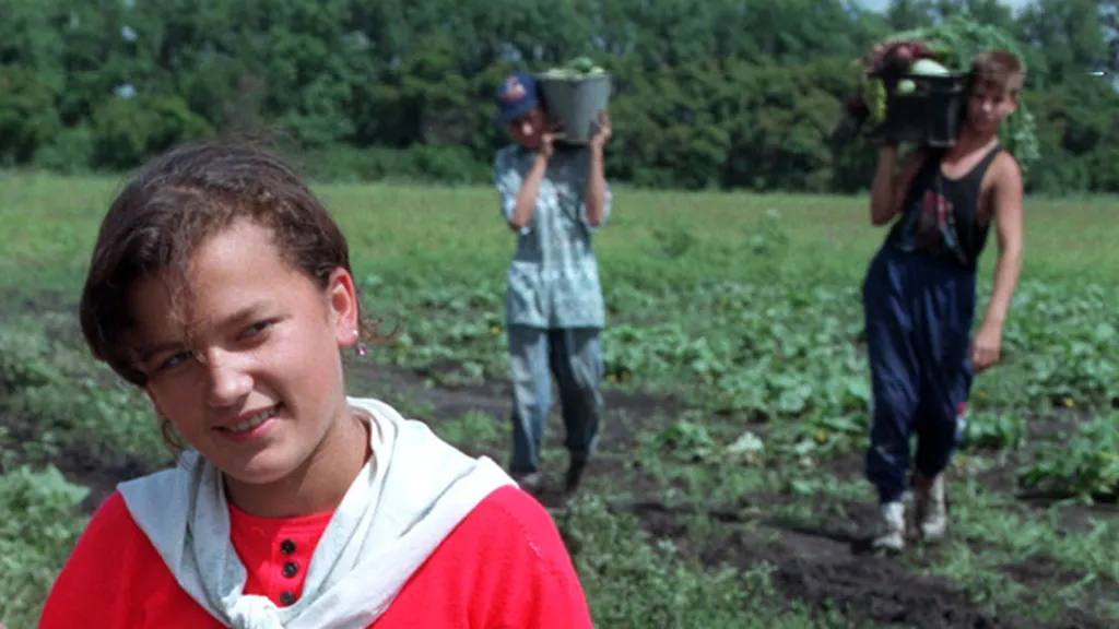 В Госдуме предложили привлекать школьников к работе в сельском хозяйстве, как в СССР