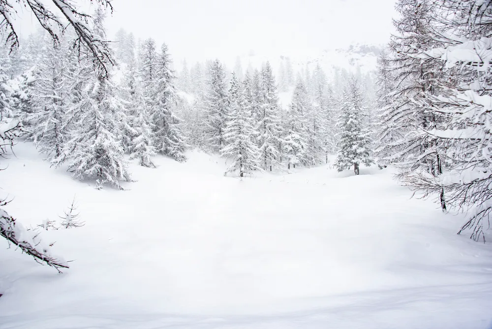 Больше половины территорий России ещё покрыты снегом