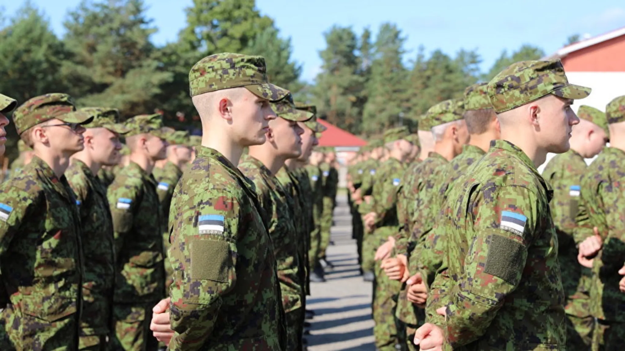 Власти Эстонии думают над отправкой войск на Украину