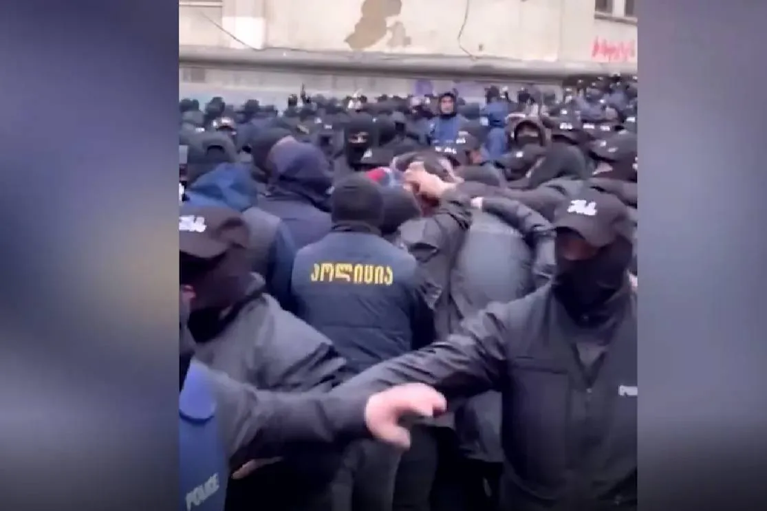 В Грузии полиция жёстко оттеснила митингующую толпу от здания парламента