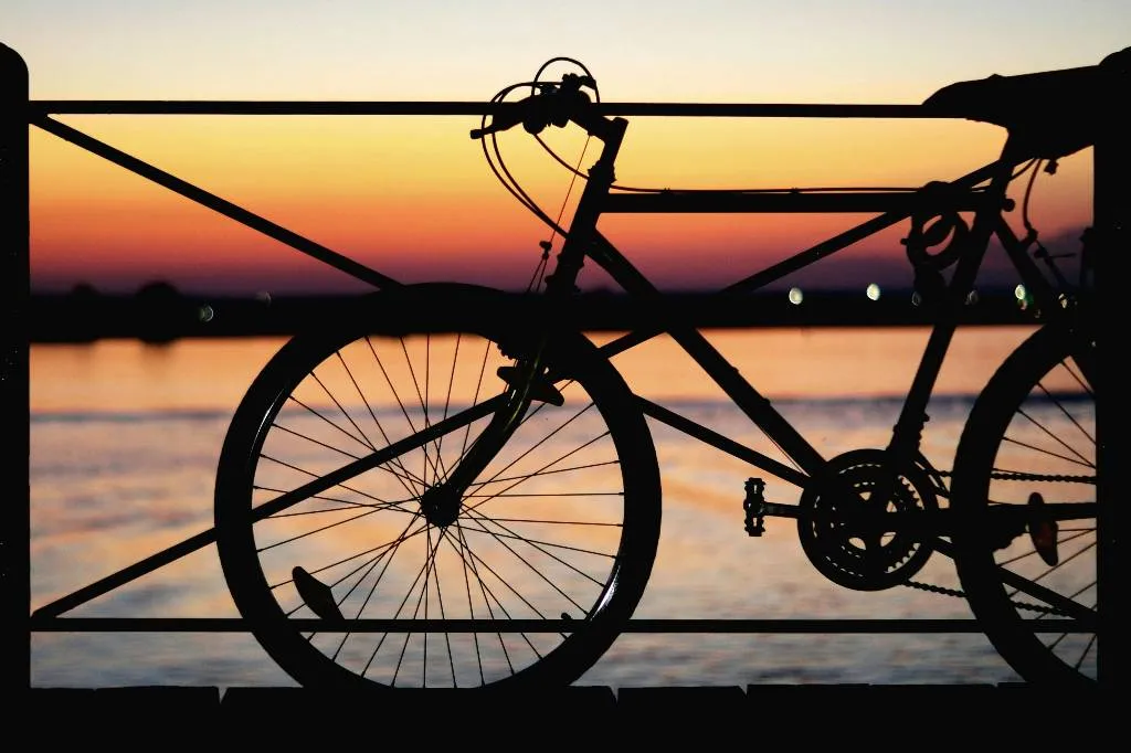 В Финляндии продали 100 велосипедов беженцев, прибывших со стороны России