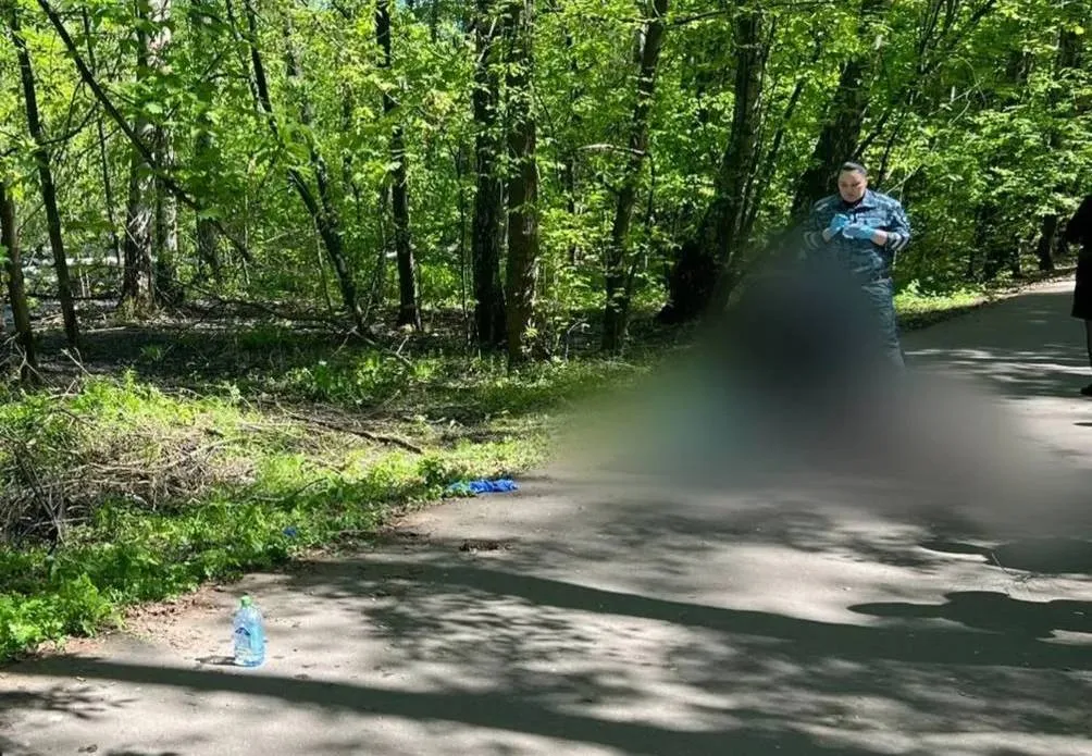 Названа предварительная причина смерти 13-летней школьницы, найденной в лесополосе в Москве