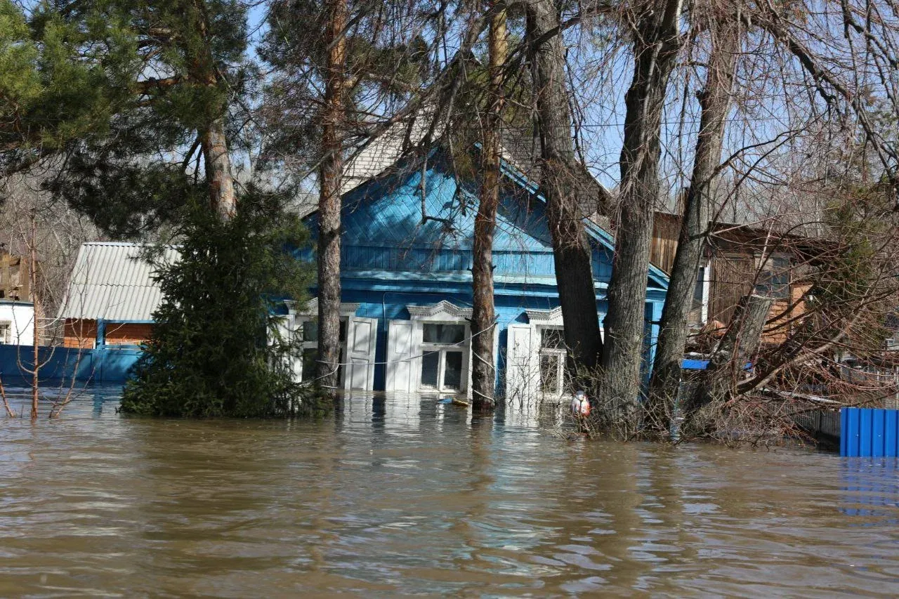 Число домов, подтопленных паводком в России, сократилось до 6308