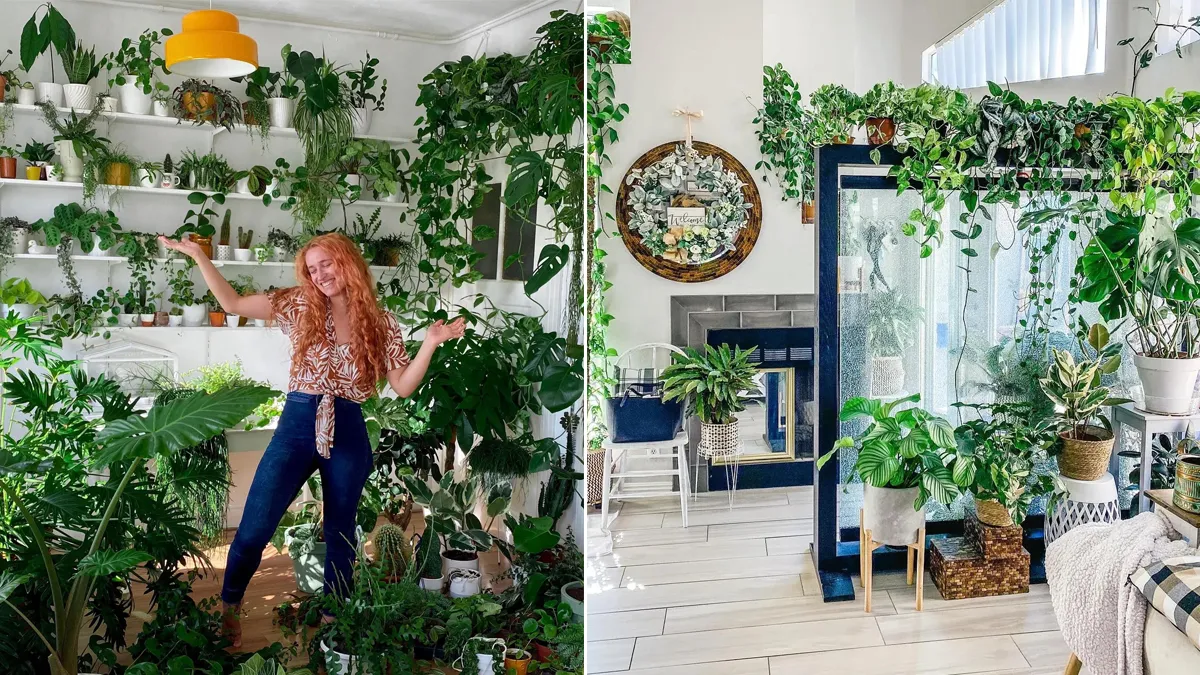 10 фото домов-оранжерей, глядя на которые вам тоже захочется воссоединиться с природой