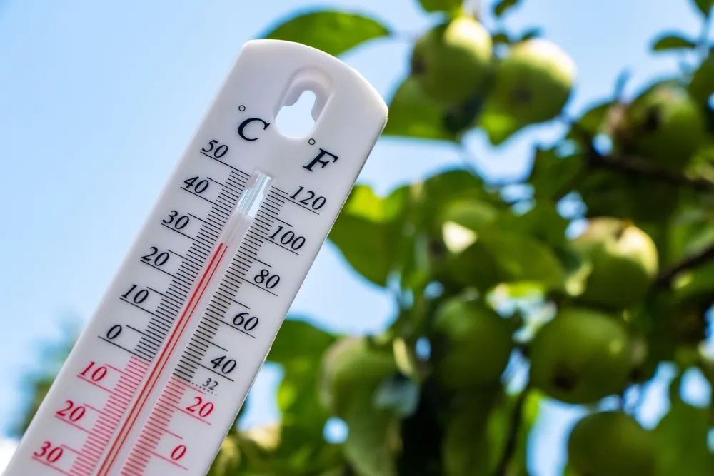 Синоптик предупредил об аномальной жаре в начале лета в Москве