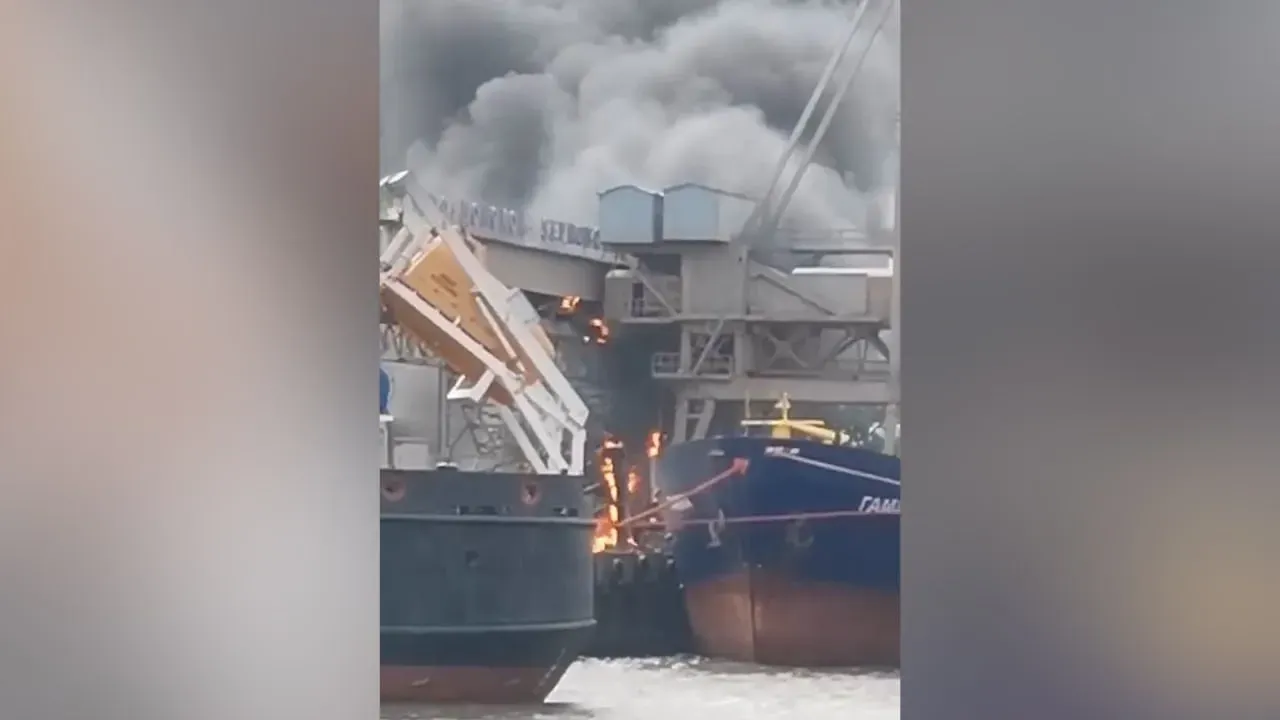 В порту Ростовской области вспыхнул мощный пожар на зерновом терминале