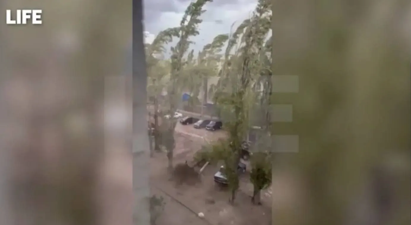 Поваленные деревья, разбитые авто и оборванные кабели: Непогода бушует в нескольких регионах России