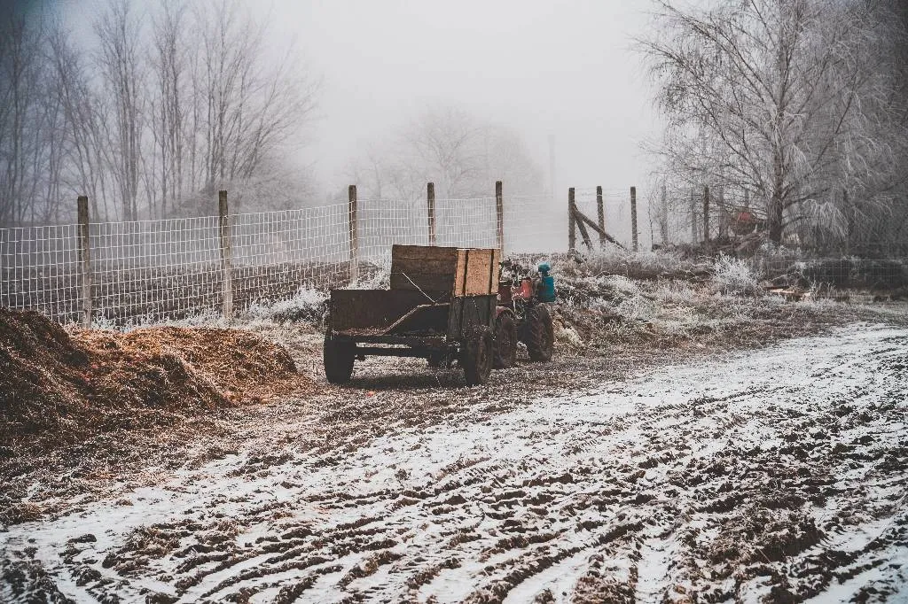Режим ЧС в сельском хозяйстве ввели в Тамбовской области из-за заморозков