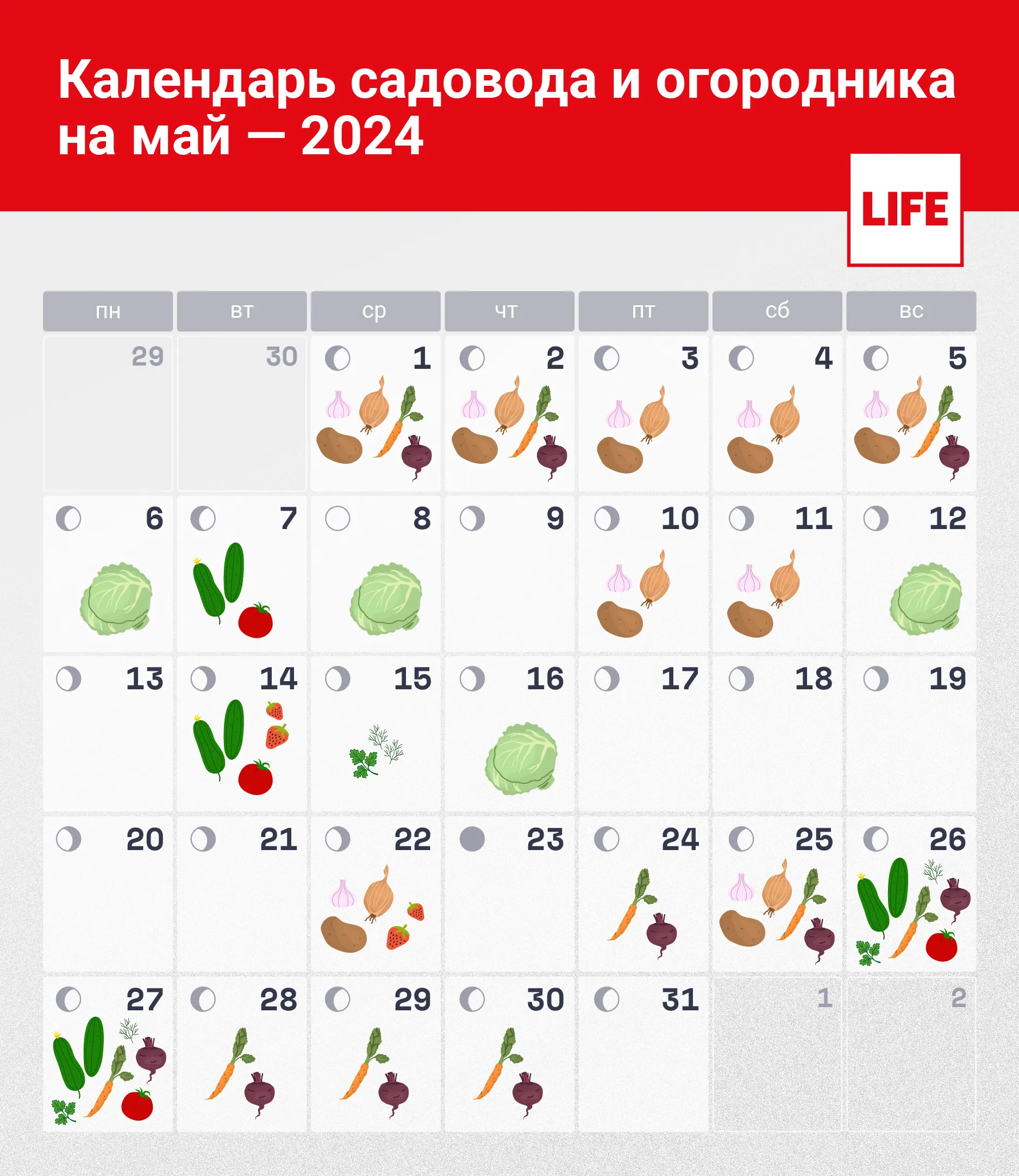 Лунный посевной календарь на май 2024 года для дачников: благоприятные дни  для посадки овощей и зелени