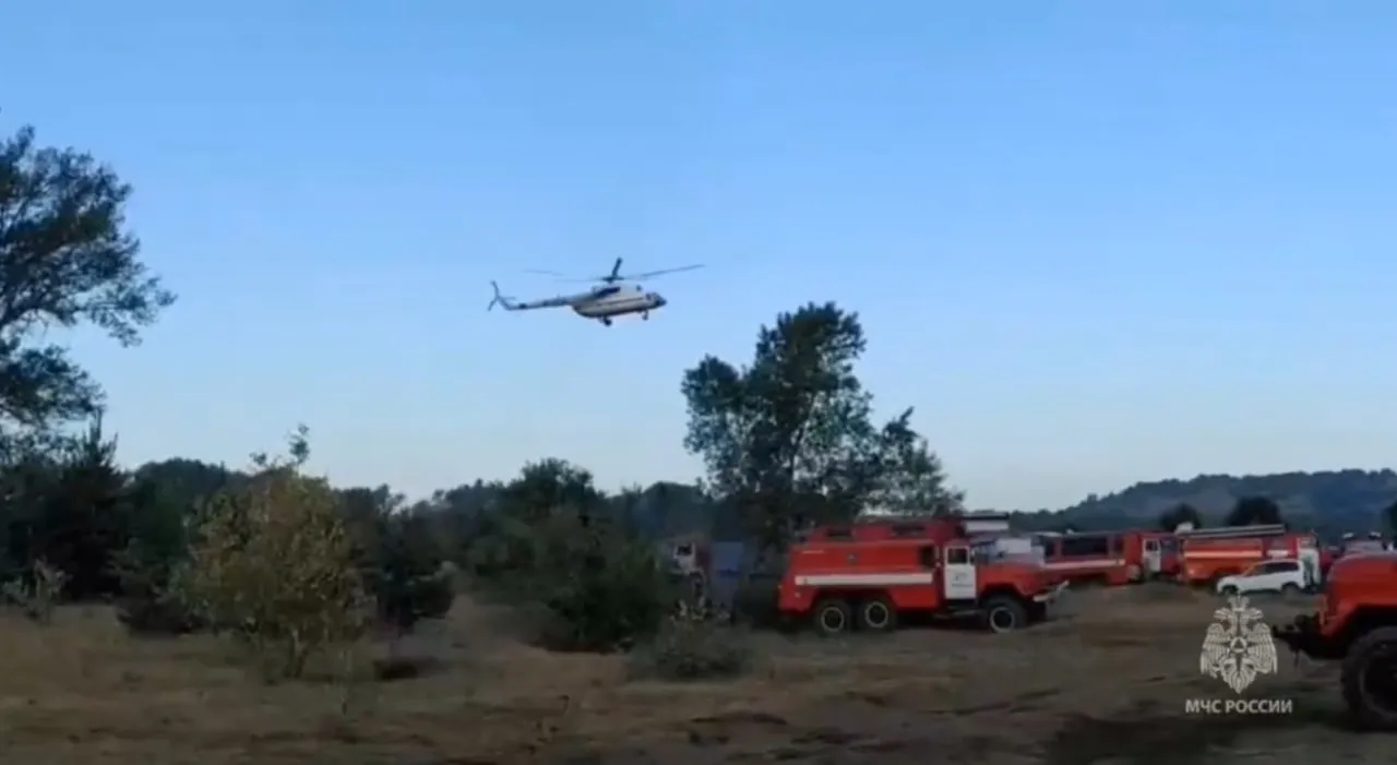 В Ростовской области тушат крупный лесной пожар на площади более 40 га
