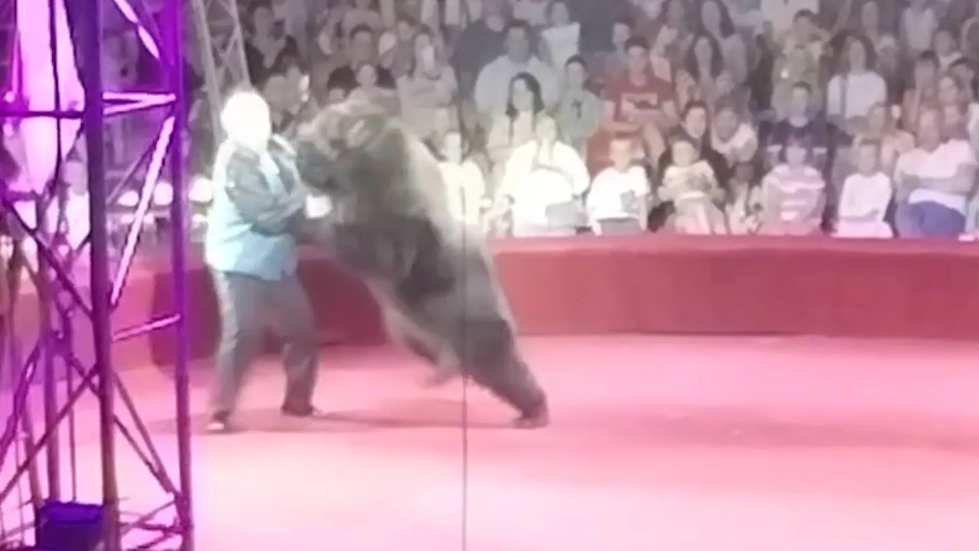 Медведица чуть не загрызла дрессировщика цирка на глазах у сотни детей под Калугой