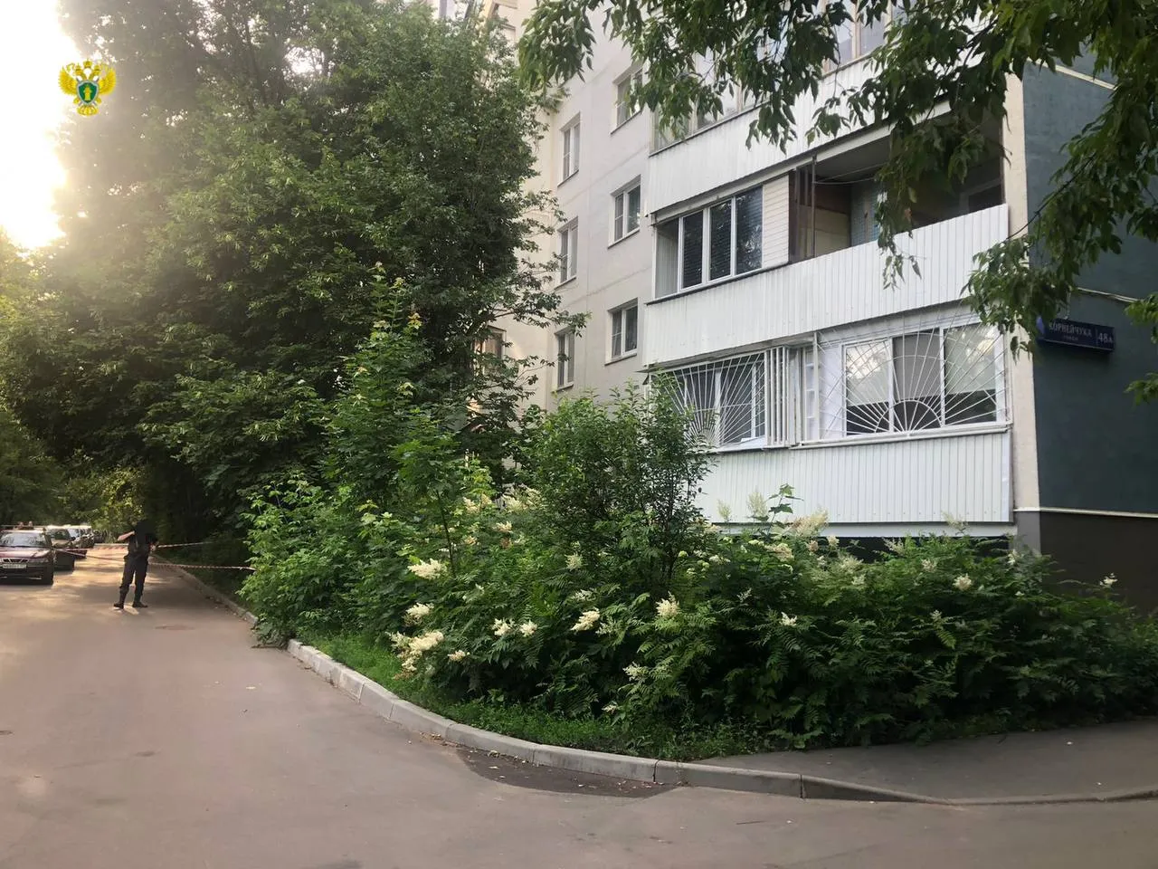 Четырёхлетняя девочка погибла после падения из окна 9-го этажа в Москве