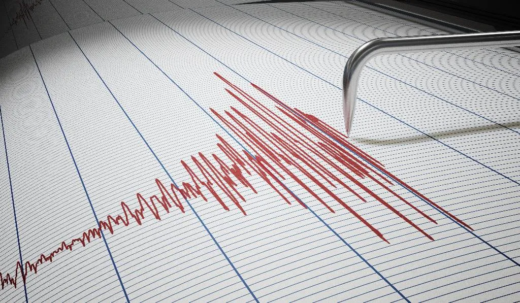 В Японии зафиксировано землетрясение магнитудой 5,9