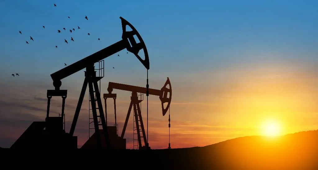 Страны ОПЕК+ согласовали квоты на добычу нефти на 2025 год
