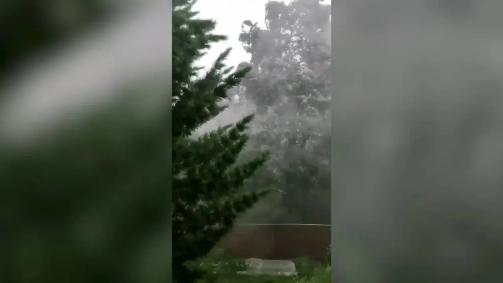 Упавшие столбы и поваленные деревья: В Сети появились видео с адовым мегаштормом в Подмосковье