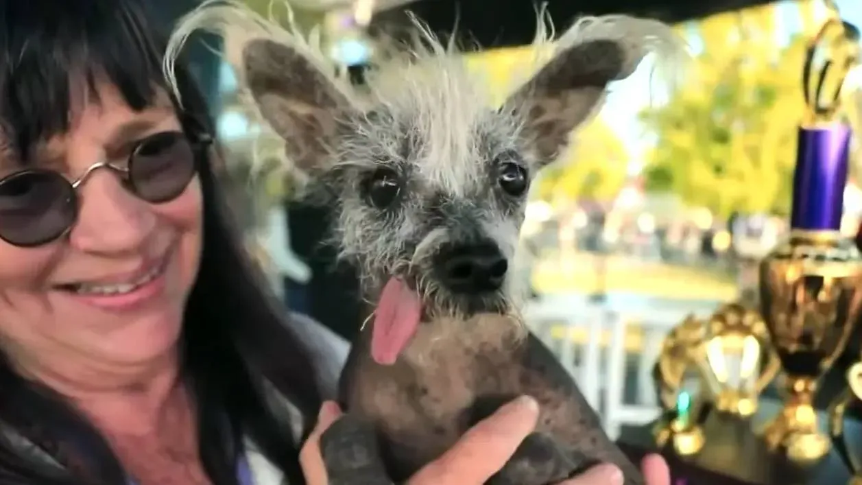 "Самая уродливая собака в мире": 10 финалистов конкурса, которых вы обязаны увидеть