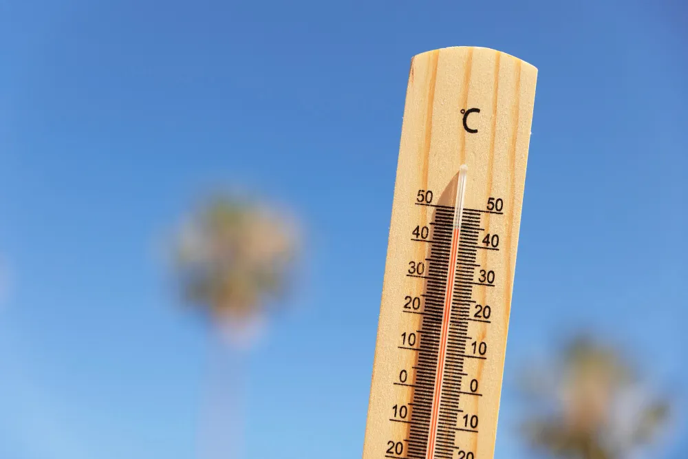 До плюс 50 градусов: Перечислены города России, где ожидается экстремальная жара