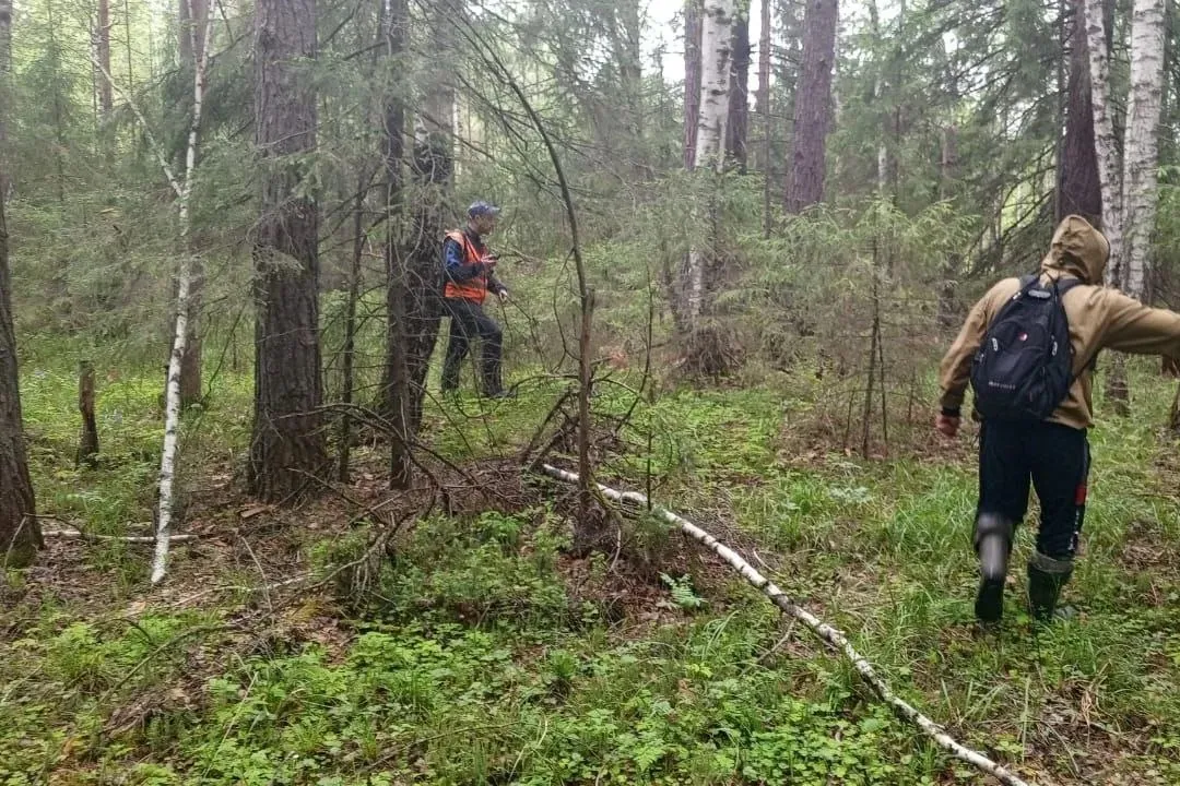 Потерявшихся в лесу на Урале детей нашли в 60 километрах от места пропажи