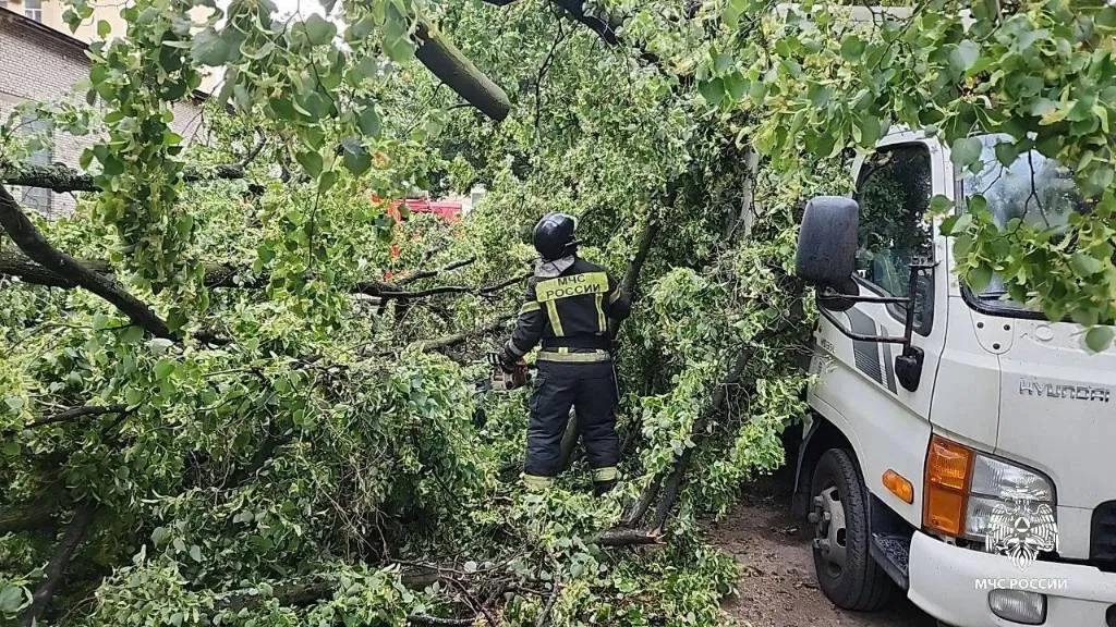 В Петербурге из-за упавшего во время урагана дерева погибла мать троих детей