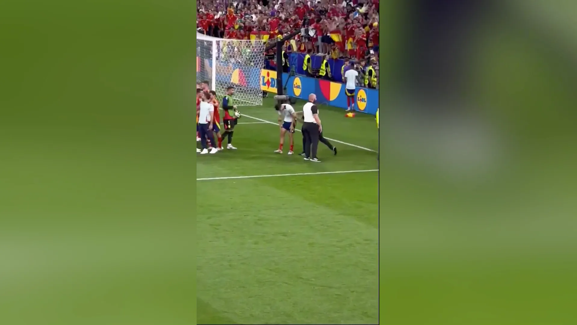 Стюард нанёс травму капитану сборной Испании, пытаясь остановить фаната на поле
